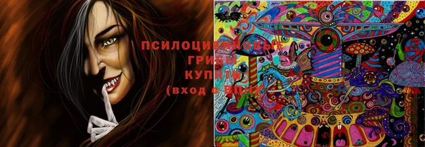 соль курить ск Аркадак